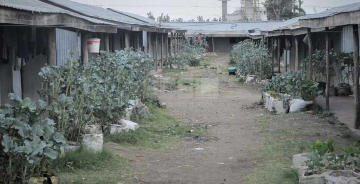 Inside President Uhuru Family's Mabati-Made Estate that Rakes in Millions Per Year