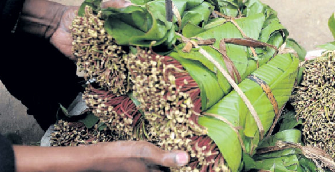 Family of Kenyan Man Imprisoned in India for Smuggling Miraa Appeals for Gov't Intervention