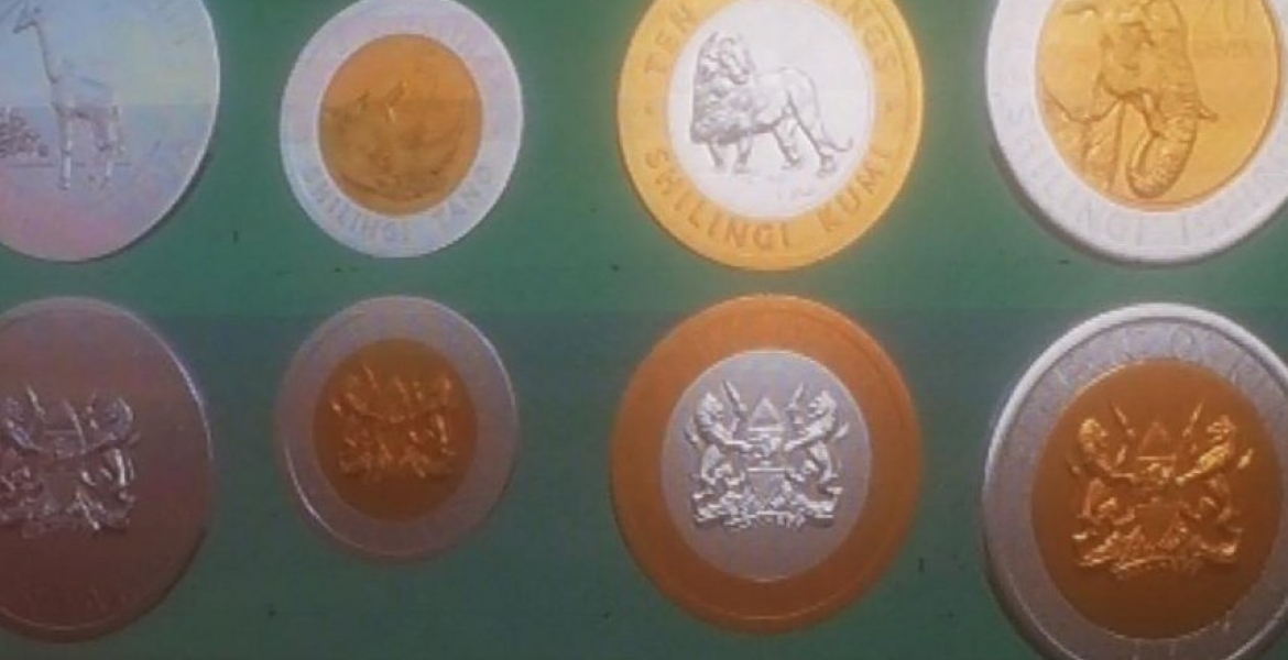 Group Files Case to Block Printing, Circulation of Kenya's New-Look Currency