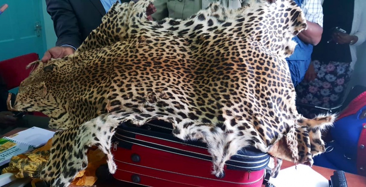 Three Chinese Nationals Arrested in Nairobi with Large Quantities of Dog Meat