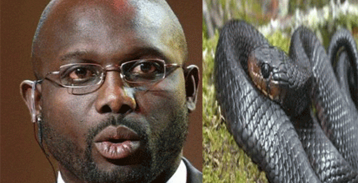 Liberia President George Weah Forced to Work from Home as Snakes Invade His Office