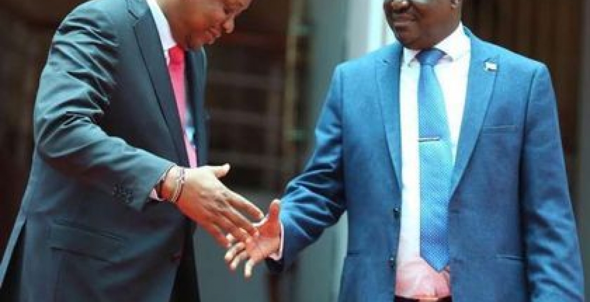 Rachael Shebesh Reveals the Woman Behind Kenyatta-Raila Handshake