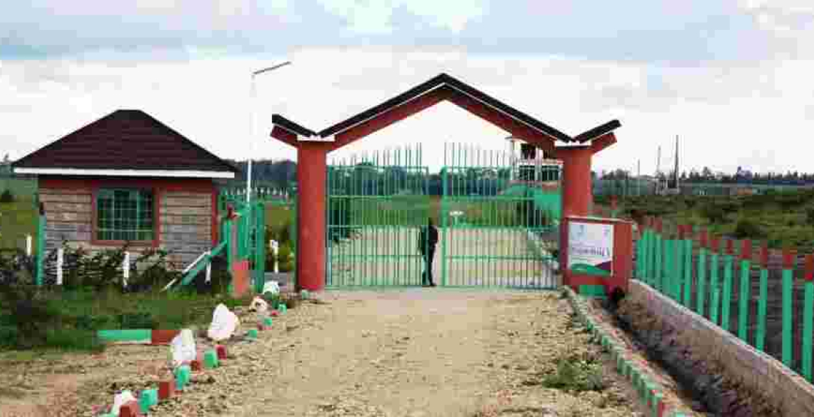 Option Real Estate USA Tour 2019