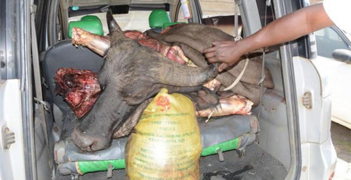 Three Busted with 200Kgs of Buffalo Meat Destined for Nairobi’s Burma Market