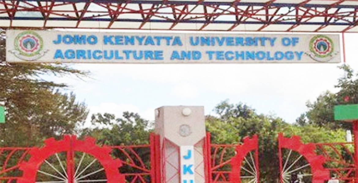 None of Our Degrees Have Been Recalled, JKUAT VC Prof. Victoria Ngumi Says