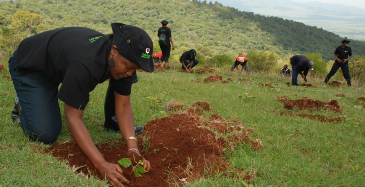 Safaricom Pledges to Plant Five Million Trees