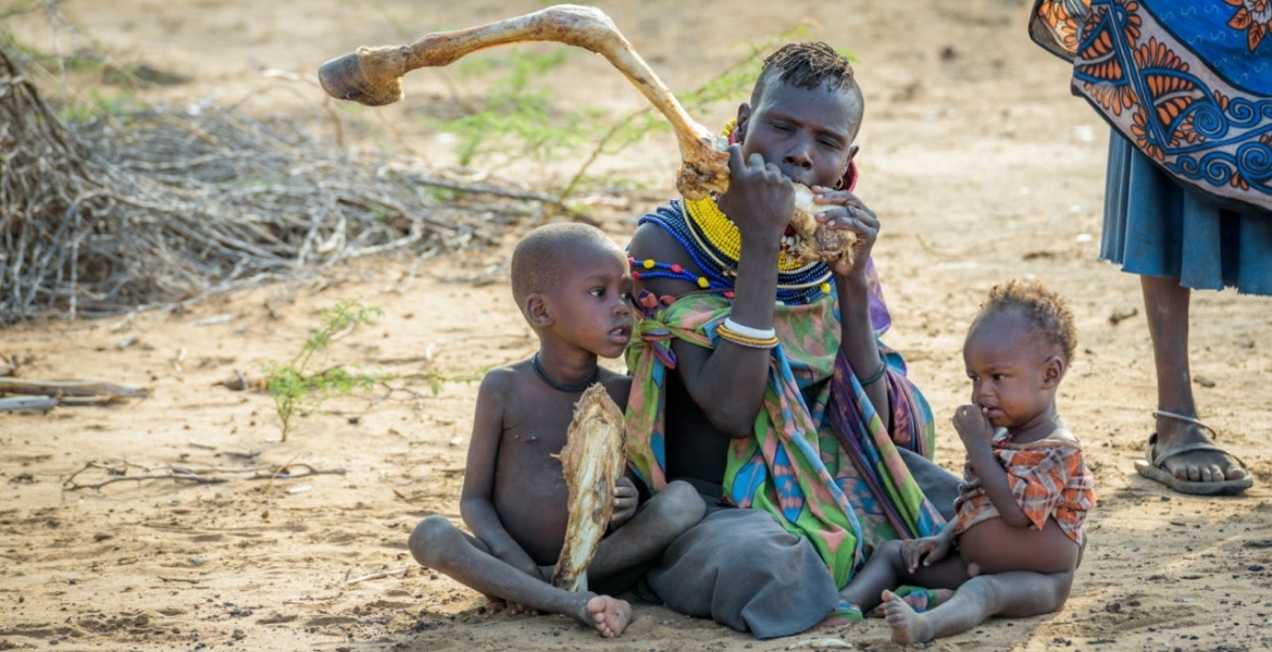 2.6 Million Kenyans in 24 Counties Facing Starvation