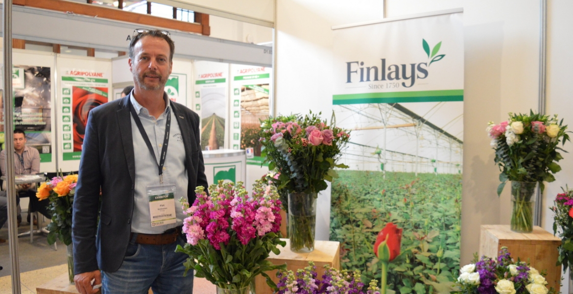 Over 1,000 Kenyans to Lose Jobs as Finlays Announces Closure of Farms