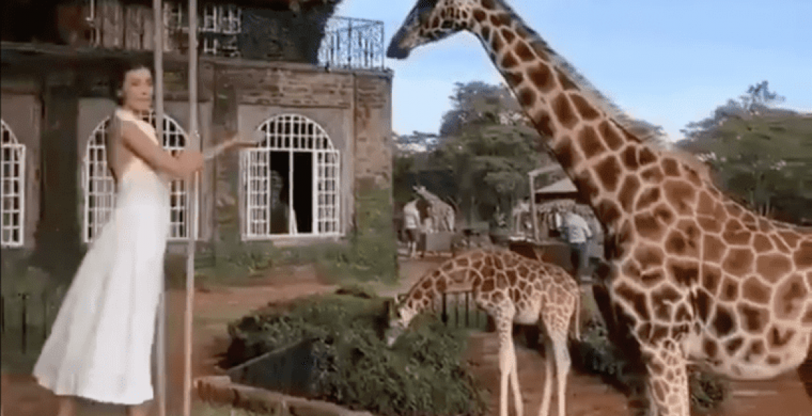 Kenyans Online React as Foreign Tourist Fails to Acknowledge Nairobi is in Kenya