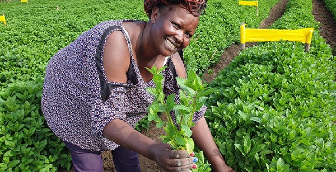Meet Regina Mungai, a Diaspora Returnee Making a Fortune from Herbs Farming