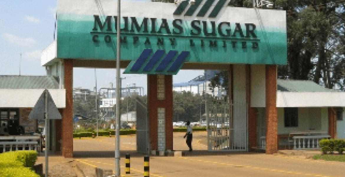 Mumias Sugar Company Fires All 700 Employees
