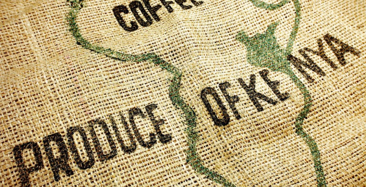 US Loses its Place as Largest Buyer of Kenya's Specialty Coffee