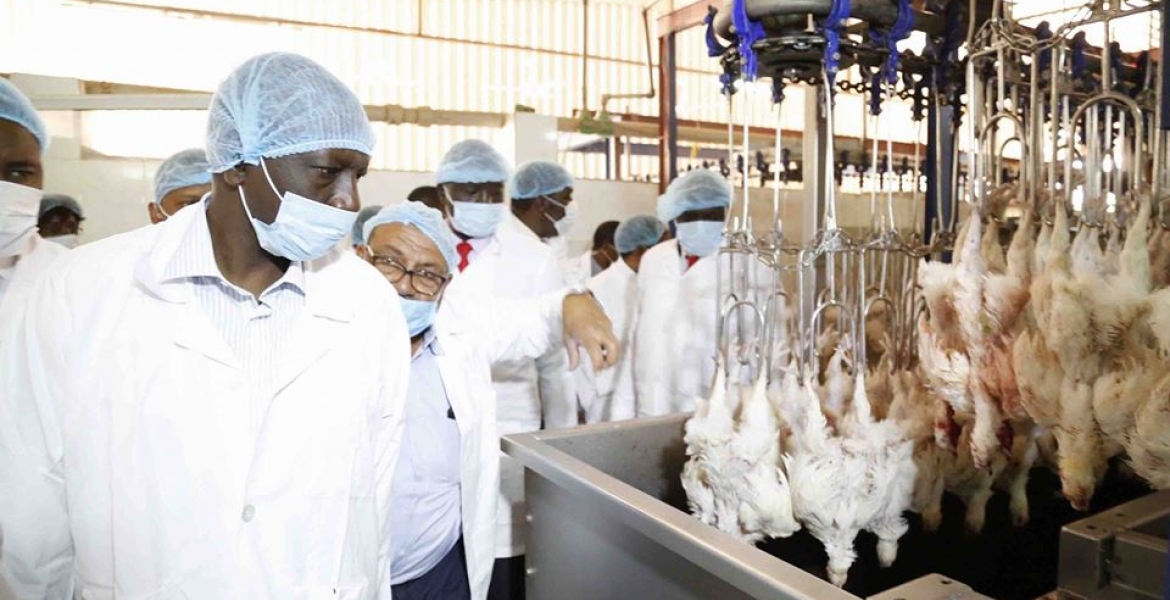 Details of DP Ruto’s Trip to Sudan on Tuesday as Uhuru Reshuffled the Cabinet Emerge