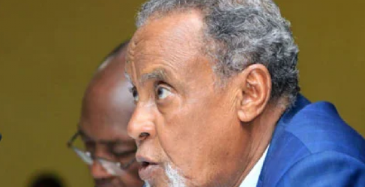 Kenyan Diaspora Makes Radical Proposals to BBI Taskforce