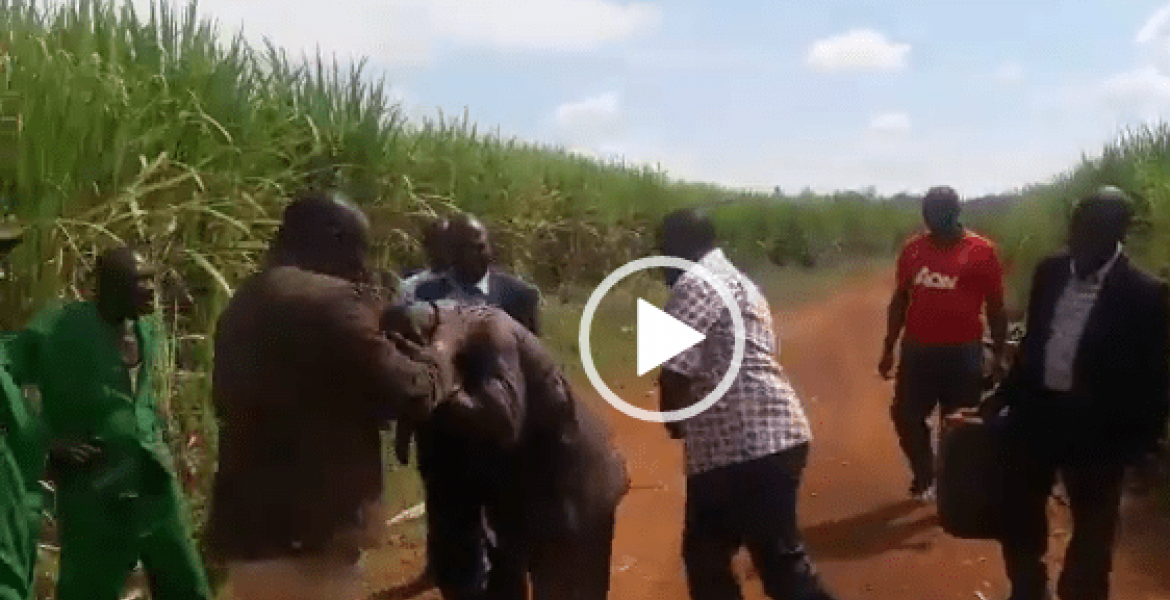 Video of MP Benjamin Washiali Raining Blows and Kicks On Man Goes Viral
