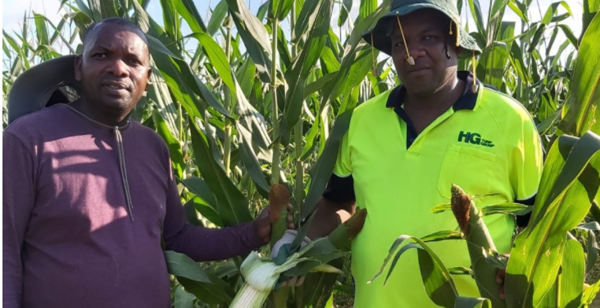 Meet Paul Irungu, a Kenyan-Born Man Making a Fortune from Growing and Selling Maize in Australia