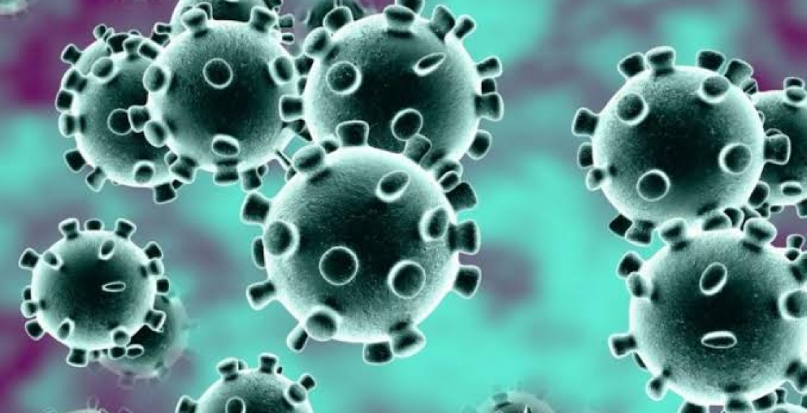 France Records 800 New Coronavirus Cases Within 24 Hours