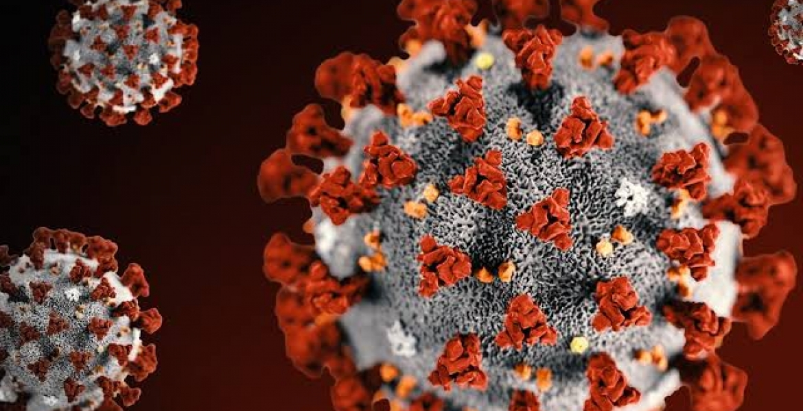 Africa's First Coronavirus Death Recorded in Egypt