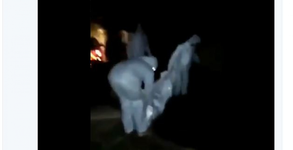 Uproar as Officers are Filmed Burying Kenyan Covid-19 Victim in a Shallow Grave at 2:30 am