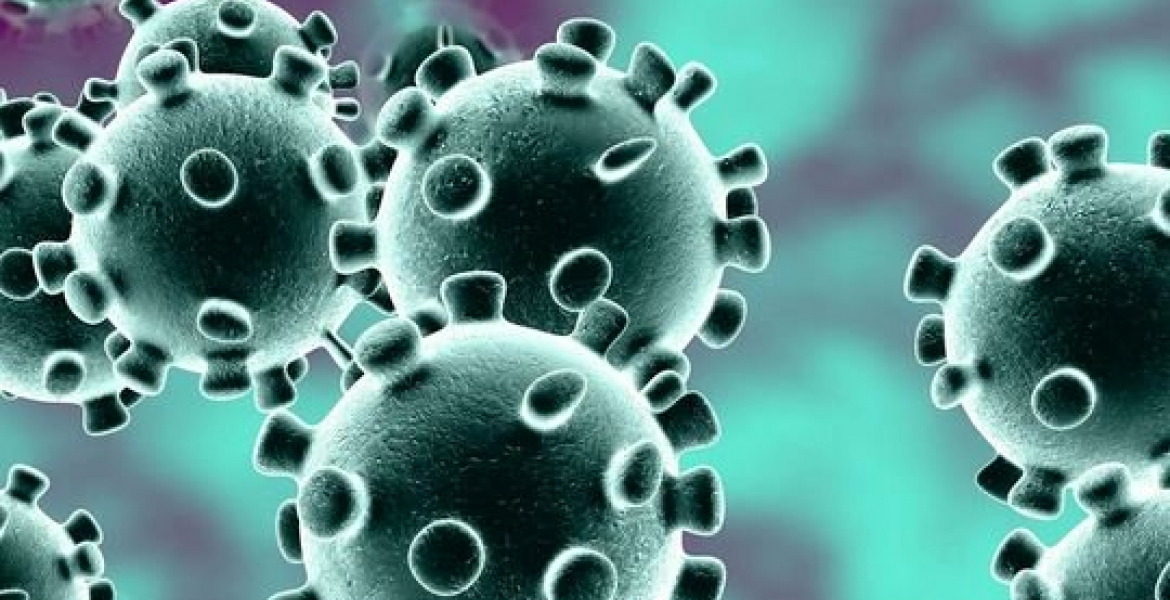 Kenya Records Highest Single-Day Covid-19 Deaths and Infections