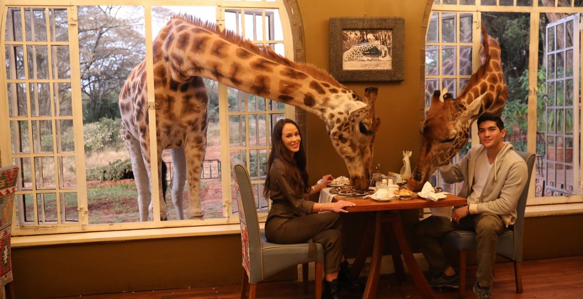 Nairobi-Based Luxury Hotel Giraffe Manor Under Fire over Racism Claims