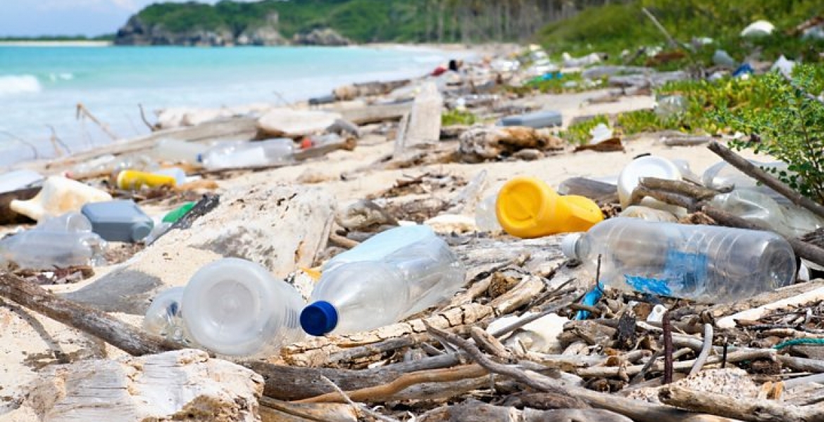 Kenya Bans Single-Use Plastics in Protected Areas