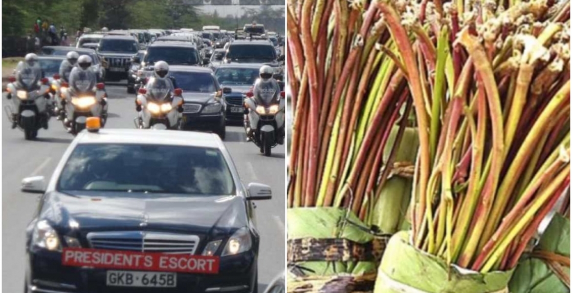 Kenyan Presidential Escort Officers Banned from Chewing Miraa