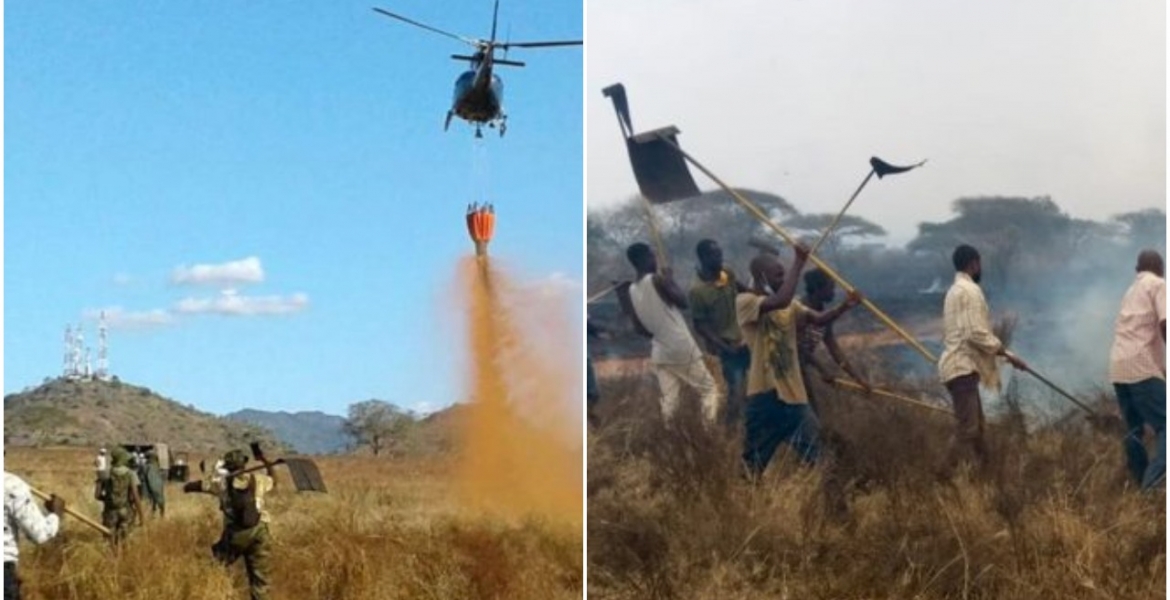 Police Launch Hunt for Arsonists Who Torched Tsavo West, Kenya's Largest National Park