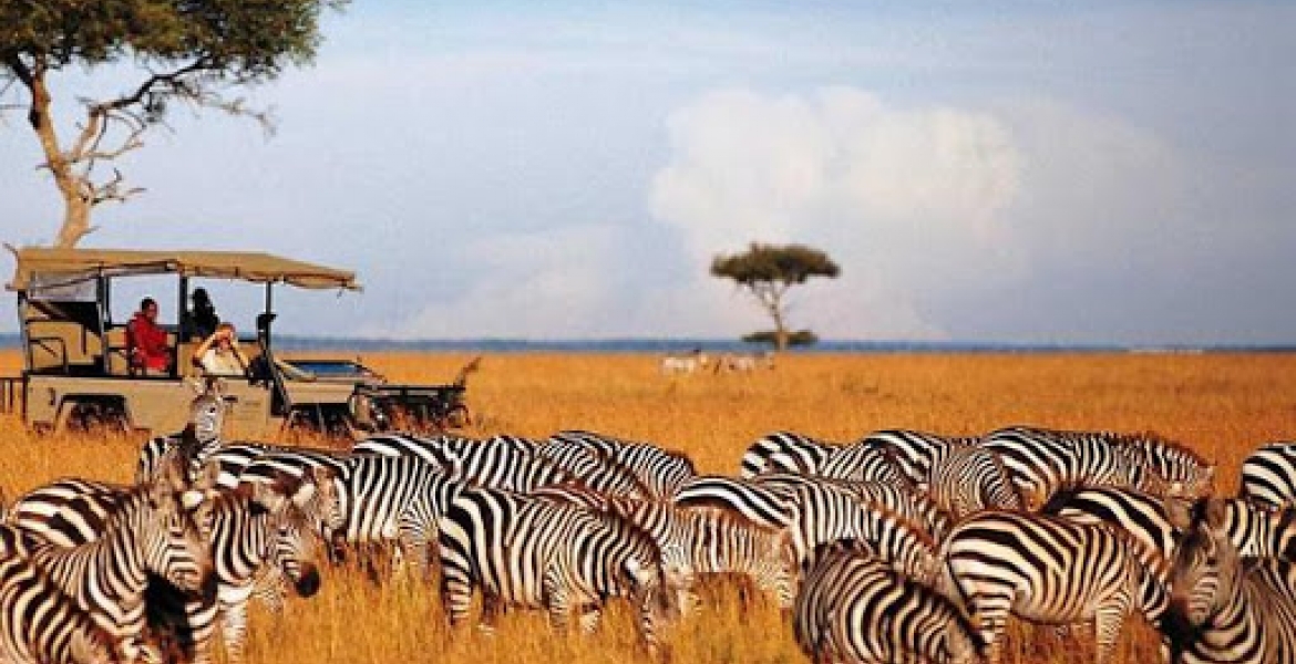Kenya Becomes First Country Globally to Receive 'Safe Tourism Seal' Award