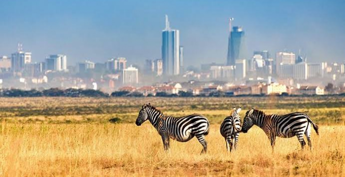 Nairobi National Park Expanded by 49,000 Acres