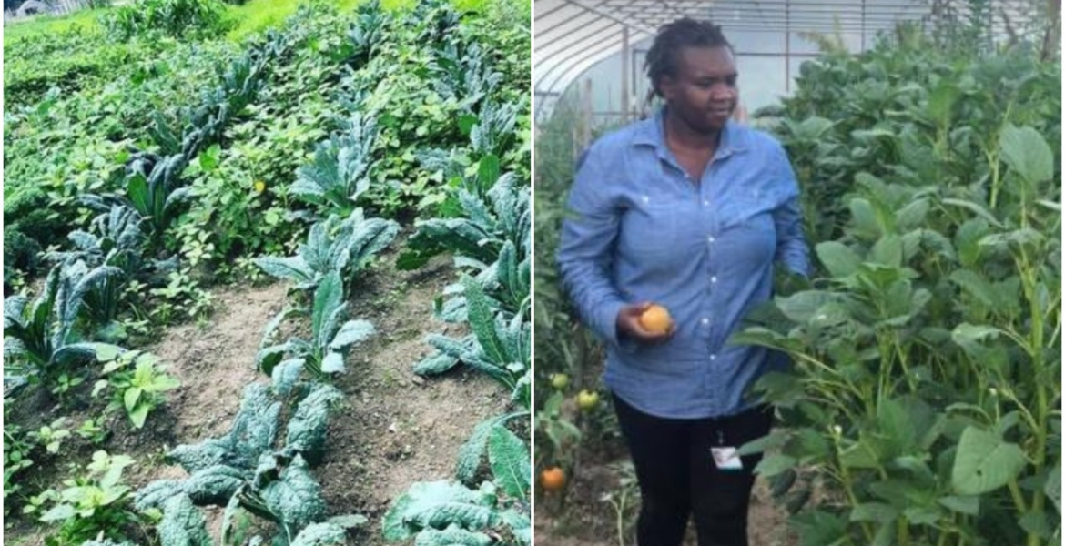Kenyan Woman Reaps Big from Farming Vegetables Such as 'Managu' is the US