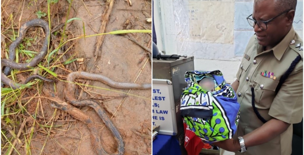 Newborn Baby Rescued Alive After Mother Dumped Him in Snake-Infested Septic Tank