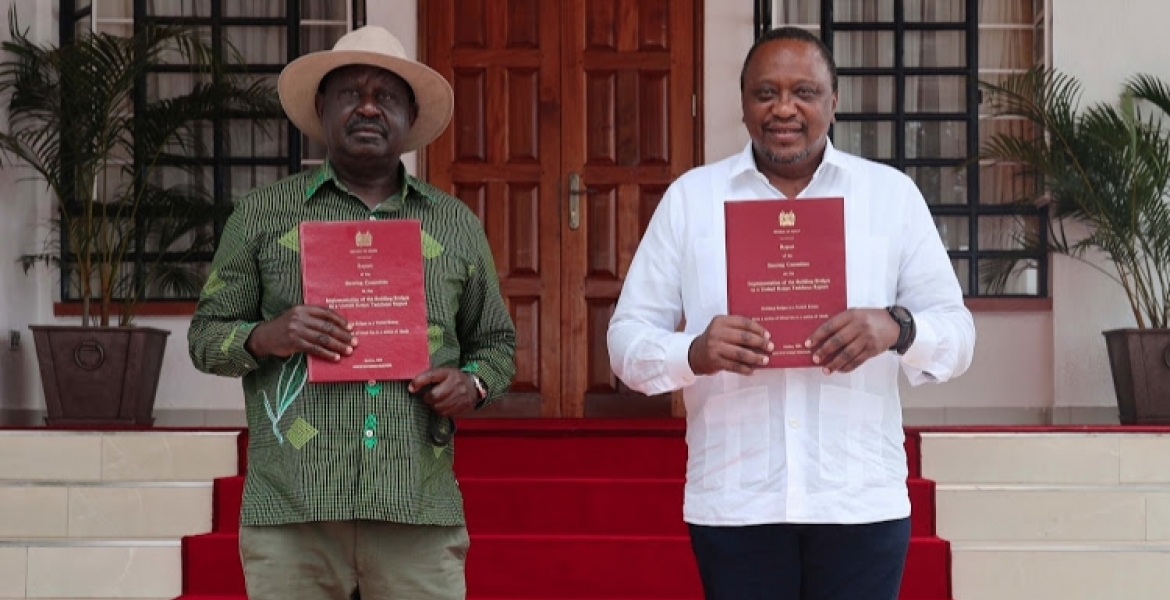 Kenyans in the Diaspora Express Displeasure with BBI Report