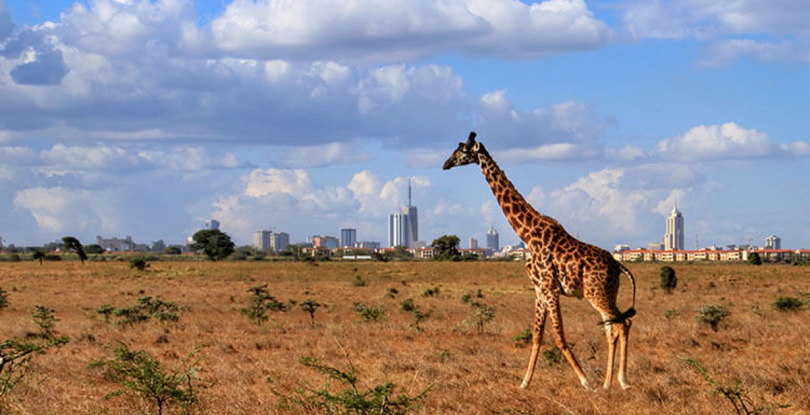 Kenya Named Africa's Leading Tourist Destination by World Travel Awards