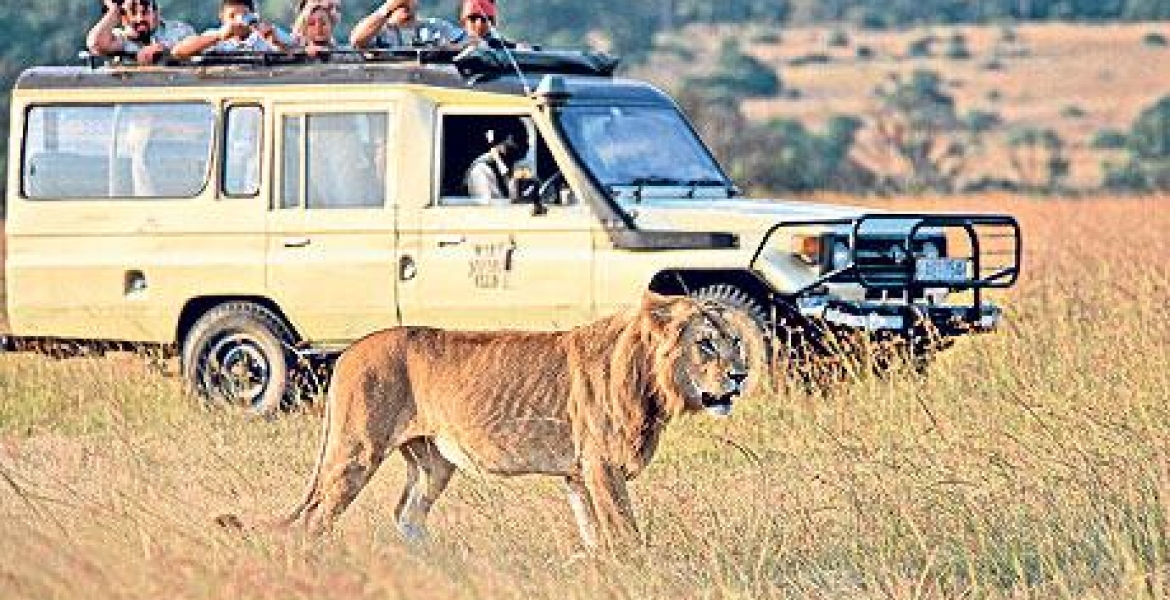 Kenya Named the World's Leading Safari Destination