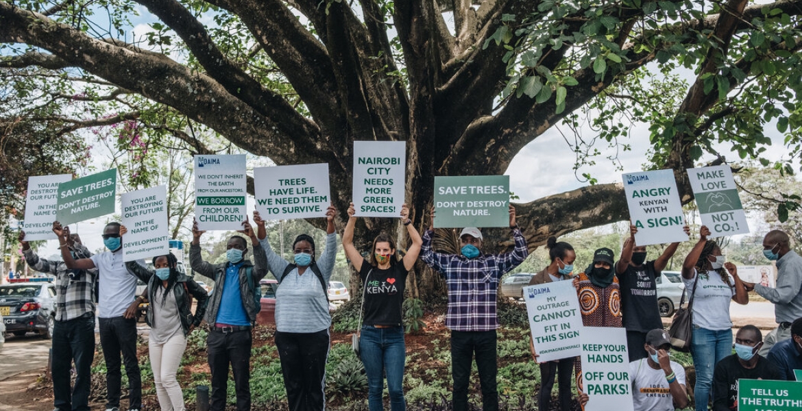 Uhuru Comes to the Rescue of 100-Year-Old Mugumo Tree Located in Westlands, Nairobi