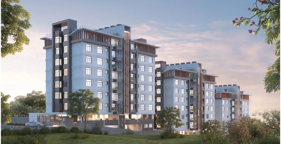 VIDEO: How Kenyans in the US are Investing Back Home