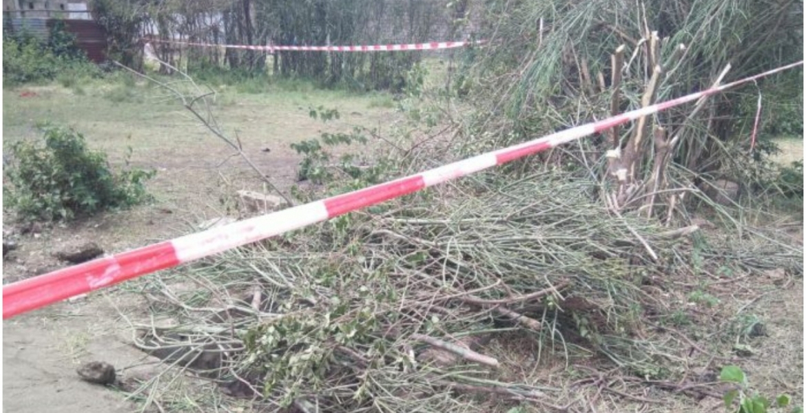 Five Children Die After Falling into Septic Tank in Ruiru