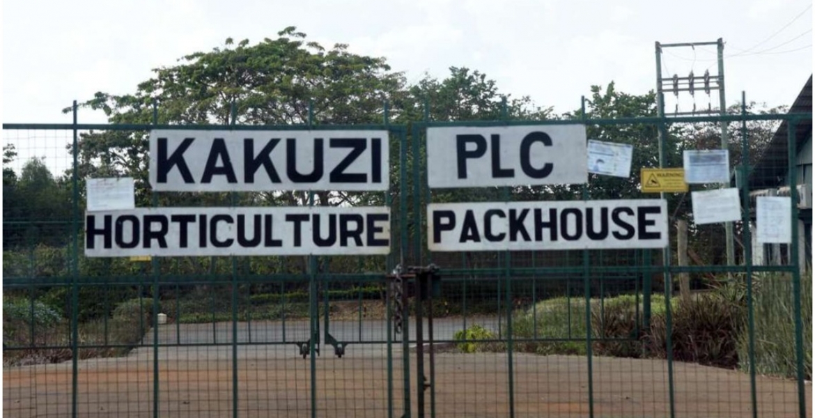 UK Company Pays 85 Kenyans Sh696 Million for Human Rights Violation