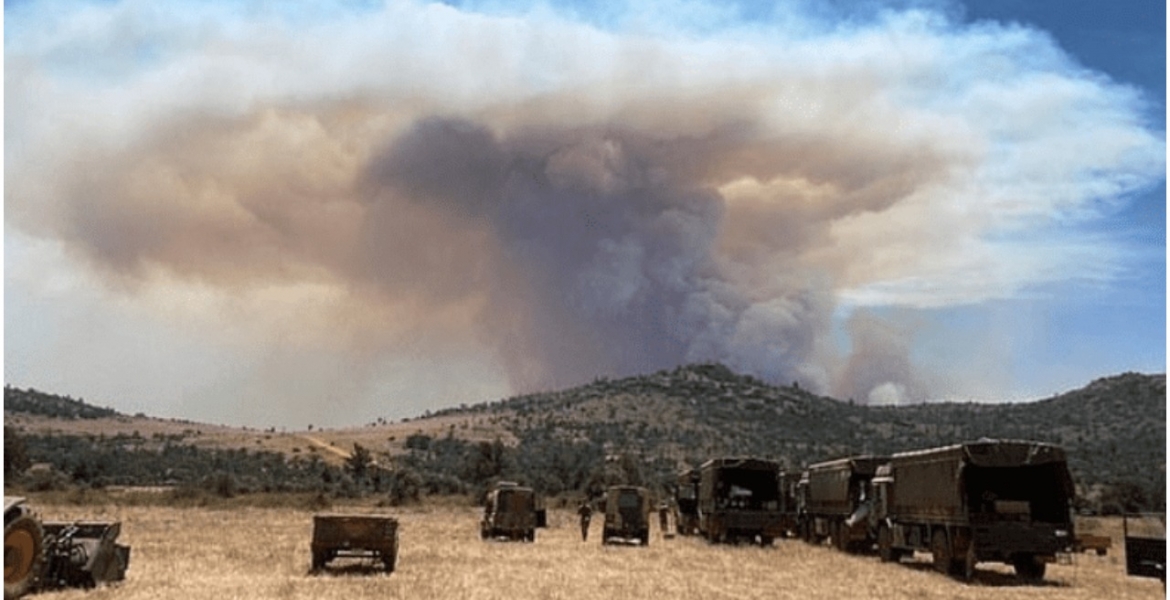 Probe Opened After 5 Elephants Killed by Fires Started by British Soldiers Training in Kenya