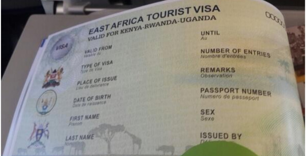 Government Warns of Cybercriminals Targeting Visitors to Kenya in e-Visa Scam