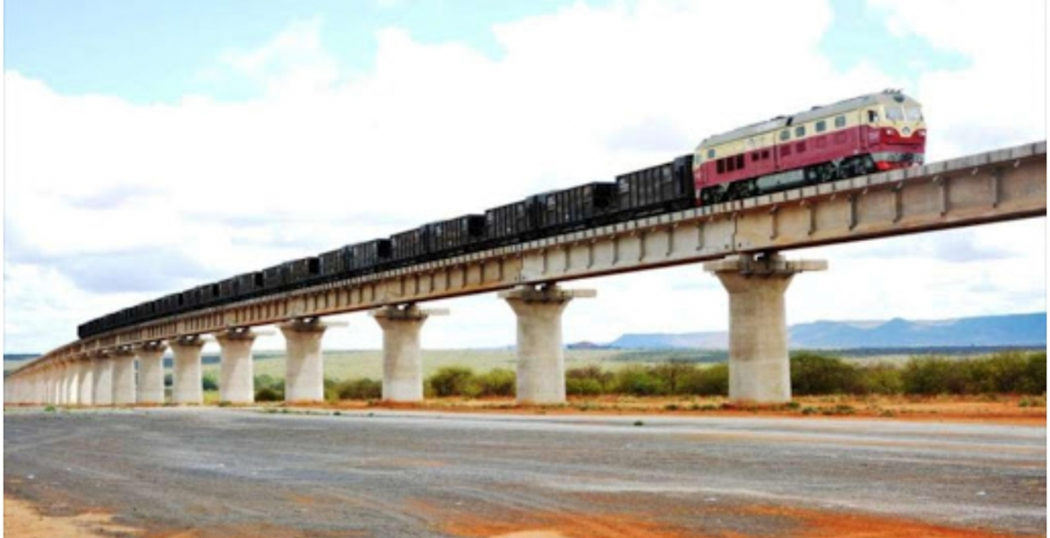 Clever Elephants Mastered All SGR Underpasses at Tsavo in Just Three Months