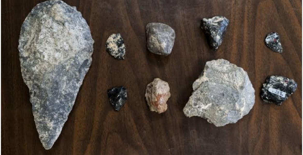 Uproar as Kenya Controversially Ships 145 Ancient Fossils to France