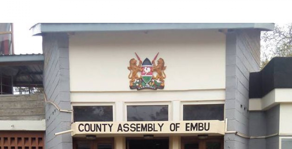 Embu MCAs Fly to Tanzania to Learn Etiquette and Campaign Language