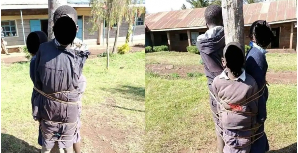 Headteacher and His Deputy in Trouble for Allegedly Tying Pupils on a Tree as Punishment