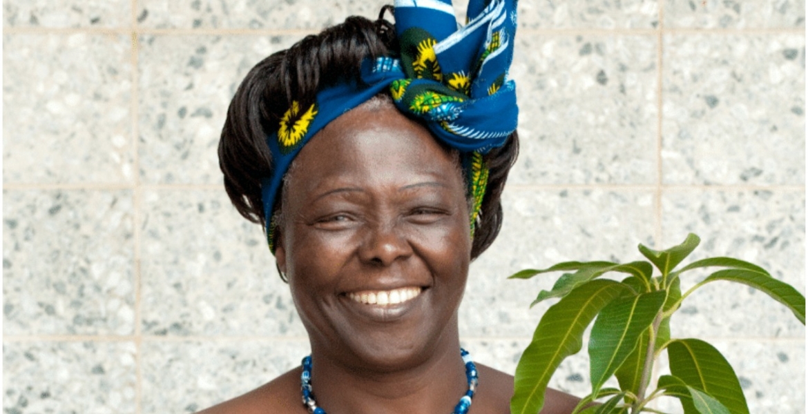 MPs Want Karura Forest Renamed After Prof. Wangari Mathai