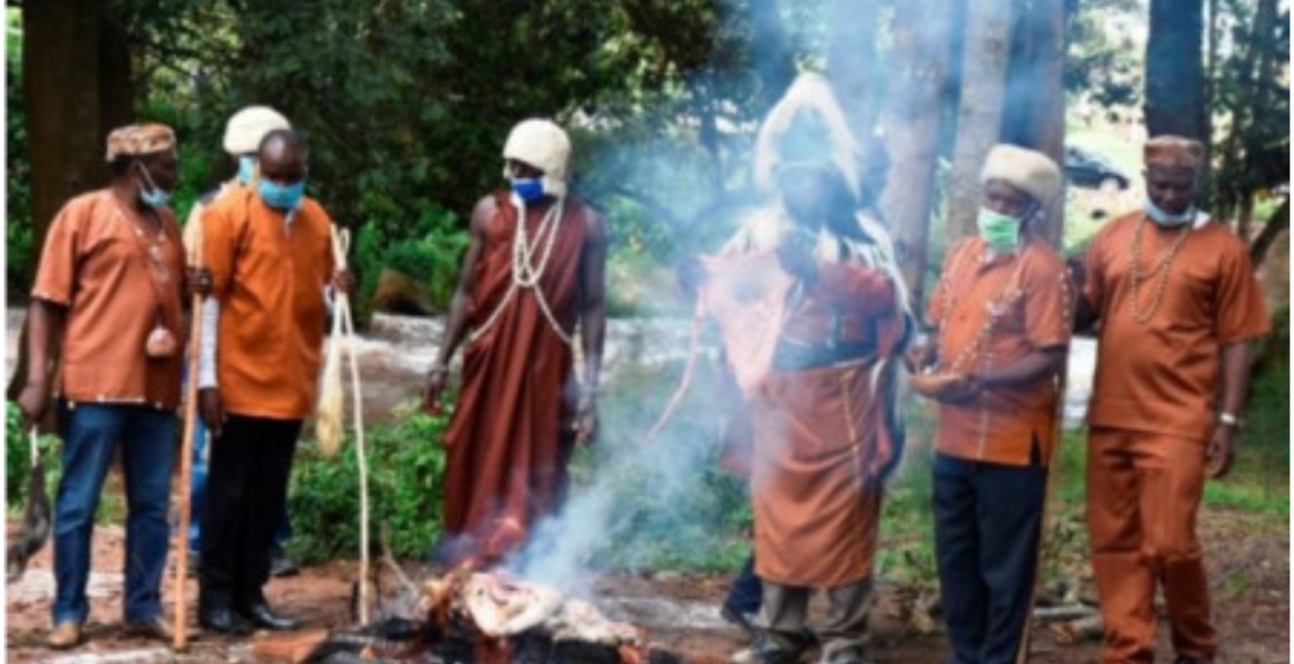 Chinese Contractor Seeks Kikuyu Elders' Help to Uproot a ‘Mugumo’ Tree Hindering Construction of Sh14 Billion Highway