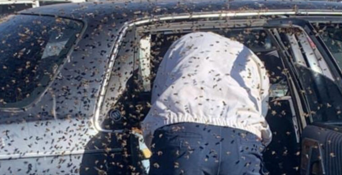 KRA Pays Tribute to its Tax Investigator Stung to Death by Bees