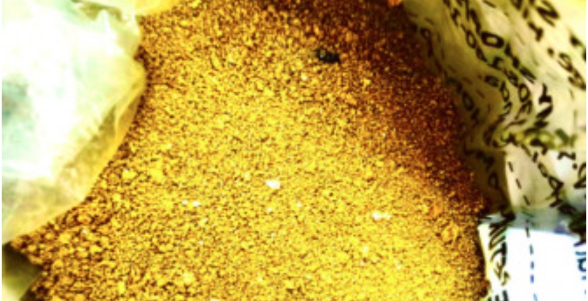 Two Suspects Arrested for Conning an Investor Sh1 Million with Crushed Padlocks Disguised as Gold