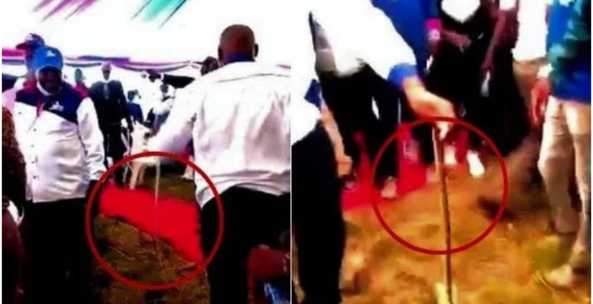 Snake Causes Commotion at Wiper Leader Kalonzo Musyoka's Meeting